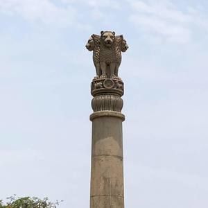 Meet your Posher, Javier